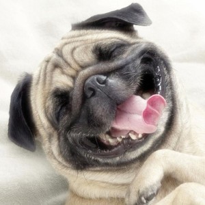 Sonrie por KendryAndres image-9362